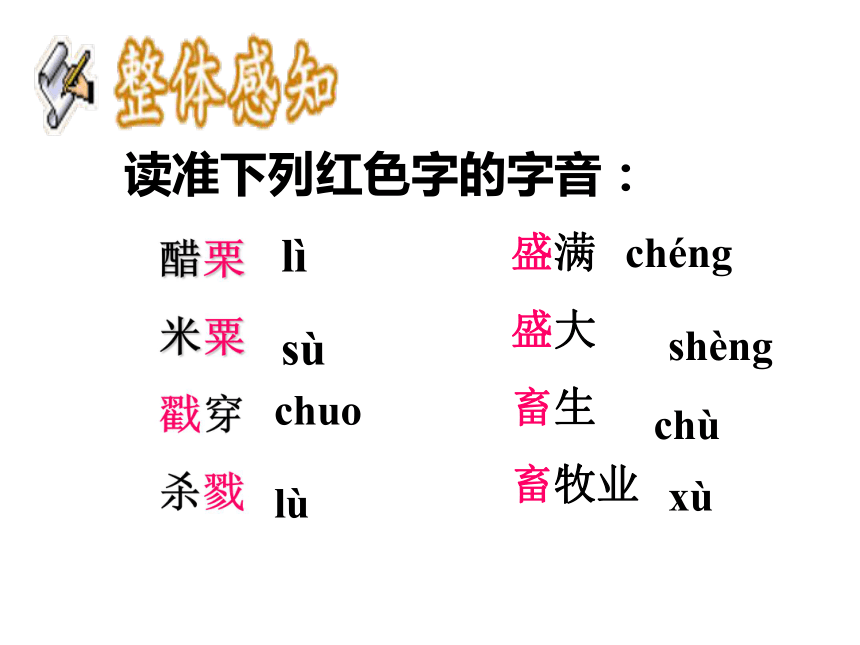 变色龙课件