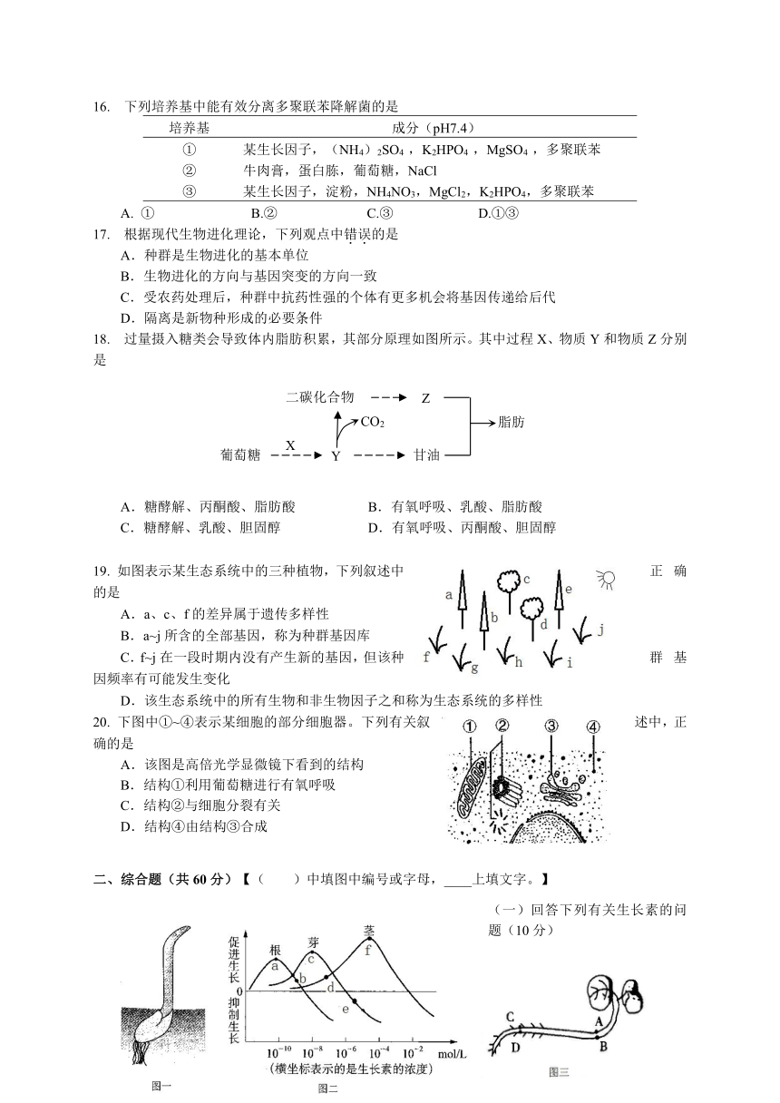 上海市杨浦区2017届高三4月质量调研（二模）生命科学试题