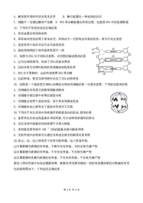 浙江杭州2019届上学期高三生物模拟卷十九（含答案解析）