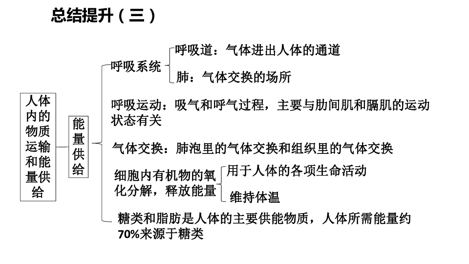 第10章 人体内的物质运输和能量供给总结提升（三）课件（30张PPT）