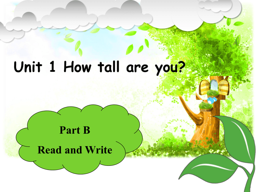 Unit 1 How tall are you?  PB Read and Write 说课课件