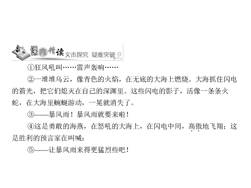 人教版八年级语文下册随堂训练课件：第2单元 9 海燕