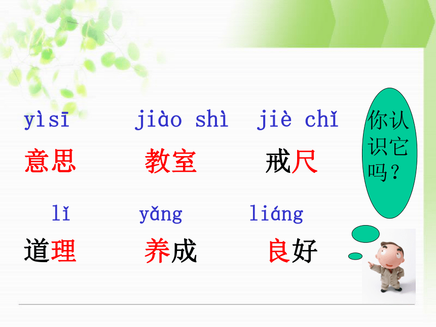 《不懂就要问》课件