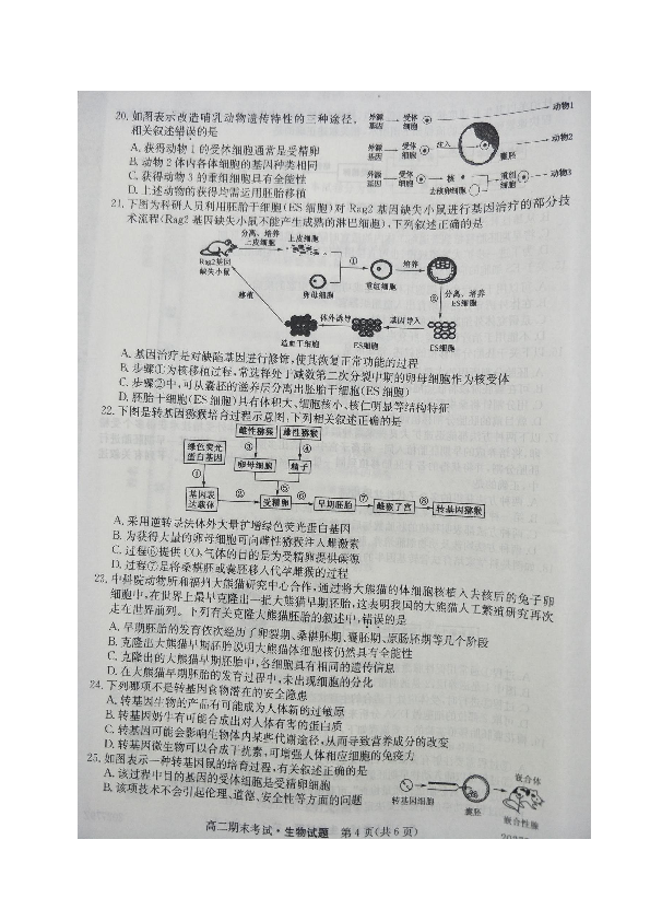 陕西省铜川一中2019-2020学年高二下学期期末考试生物试题 图片版