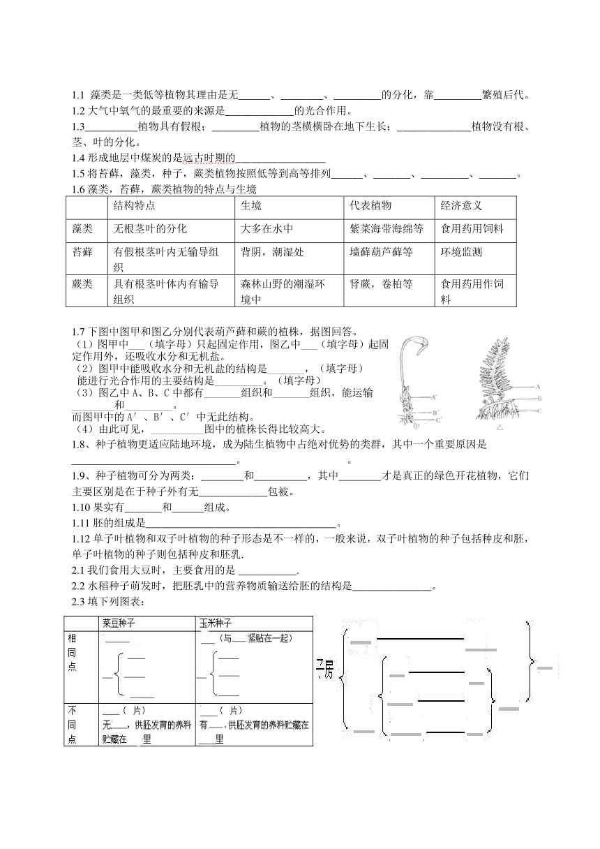 人教版七年级生物上学期知识点总结（附答案）