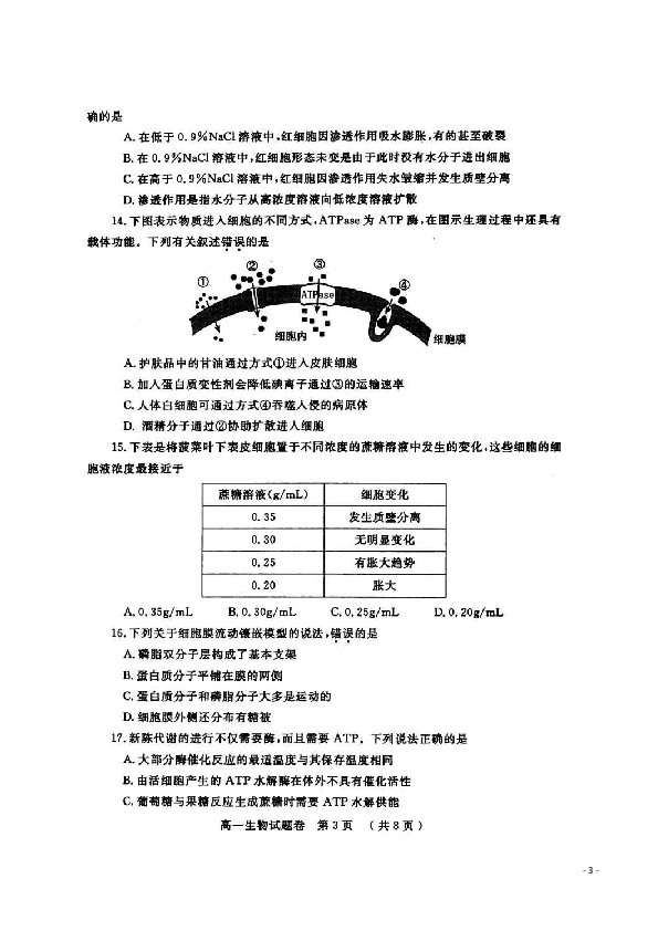 河南省郑州市2019-2020学年高一上学期期末考试生物试题 扫描版
