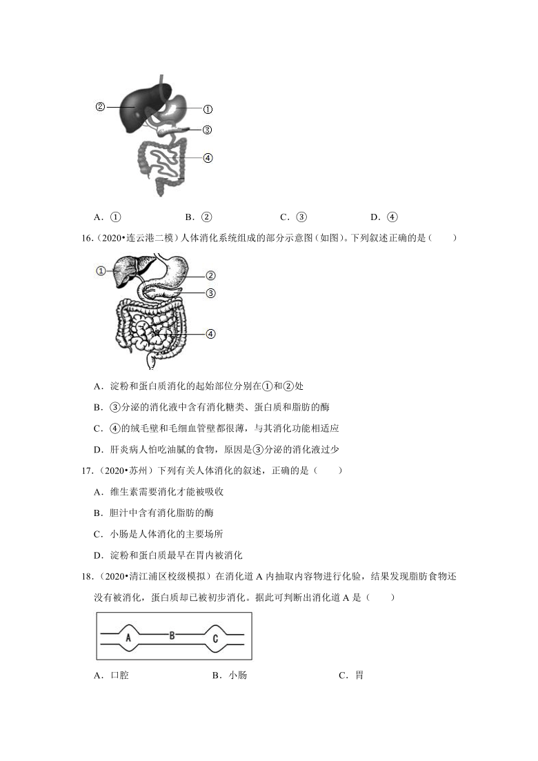 2021年江苏省中考生物复习专练——专题9人的消化系统（word版含解析）