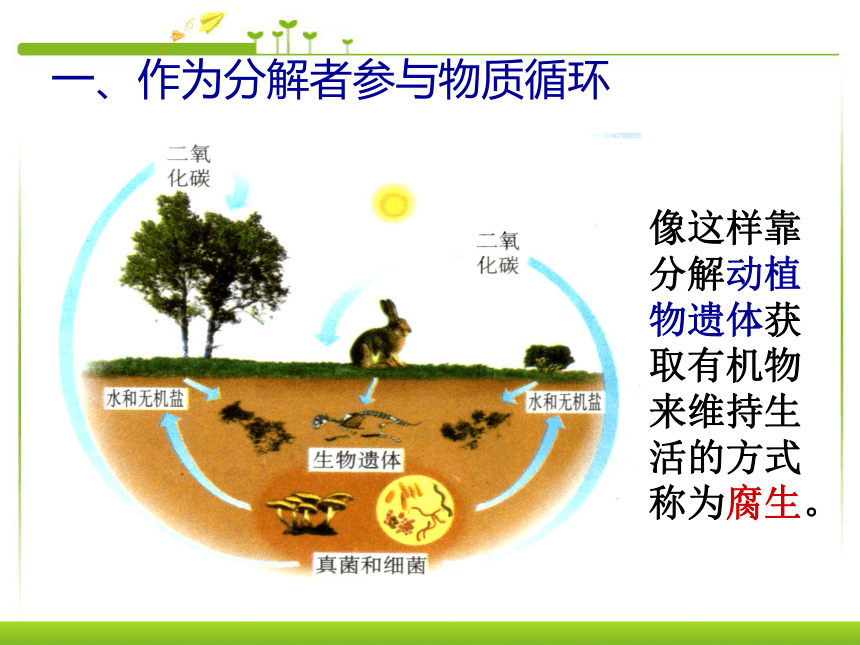 5.4.4 细菌和真菌的作用 课件          (共42张PPT)