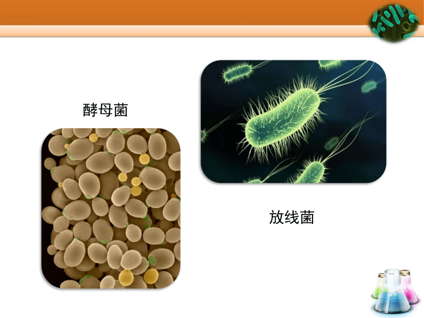 人教课标版高中生物选修1教学课件：2.1《微生物的实验室培养》（共38张PPT）