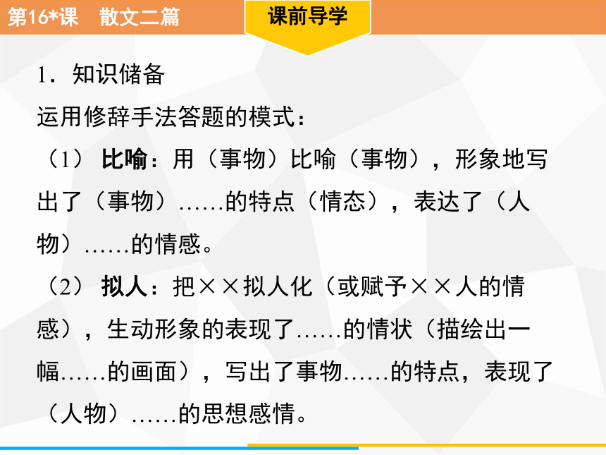 第16课　散文二篇习题课件（共33张PPT）