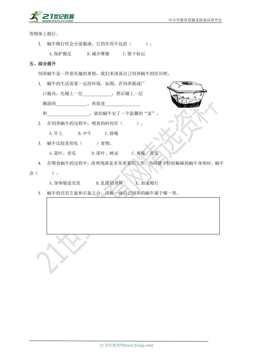 教科版科学三上 2.2《蜗牛（一）》练习题