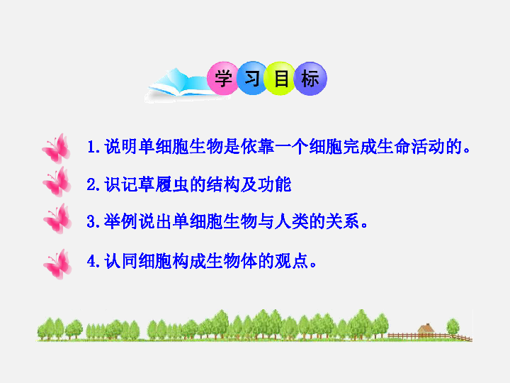 人教版七年上册2.4单细胞生物课件（27张ppt)