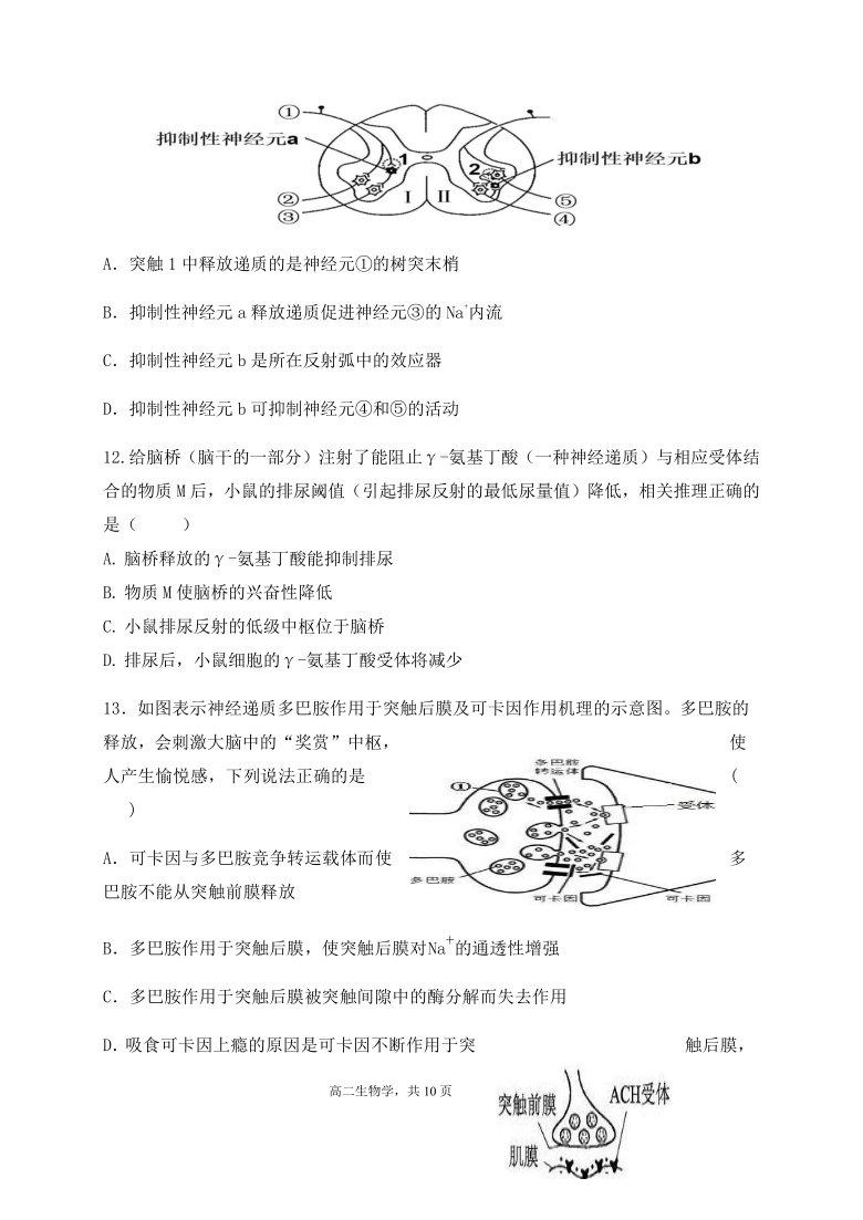 辽宁省六校协作体2020-2021学年高二上学期期中联考生物试题  含答案