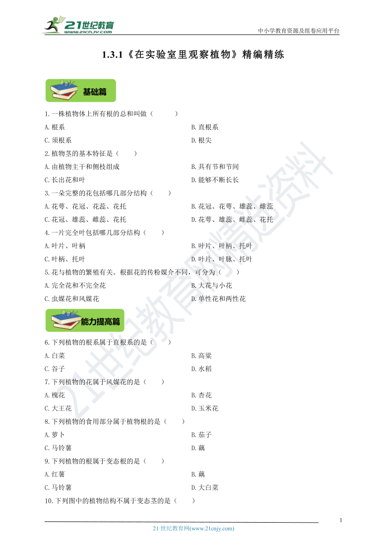 1.3.1 在实验室里观察植物 精编练习(含答案)