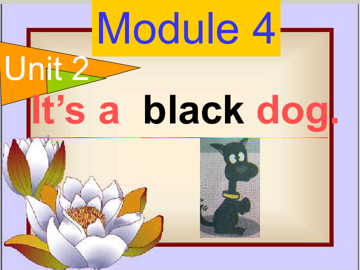 Unit2 It’s a black dog 课件（共20张PPT）