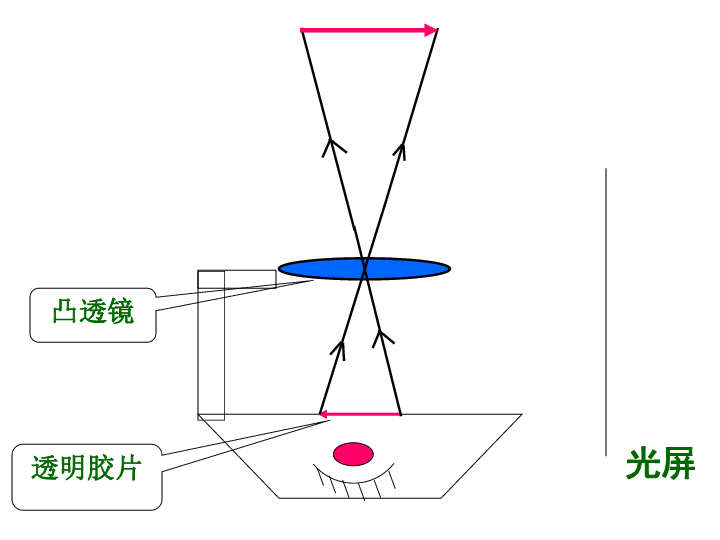 凸透鏡成像規律的應用[上學期]