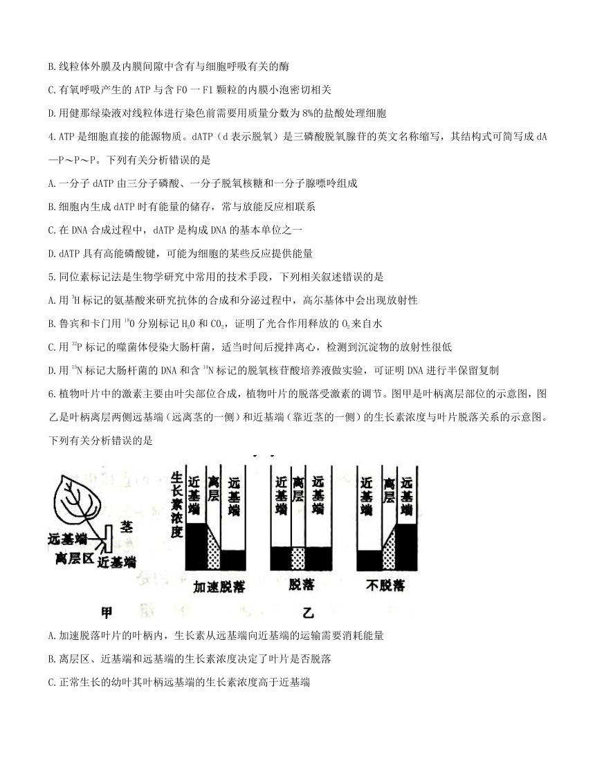 河北省邢台市2018届高三12月质量检测 生物