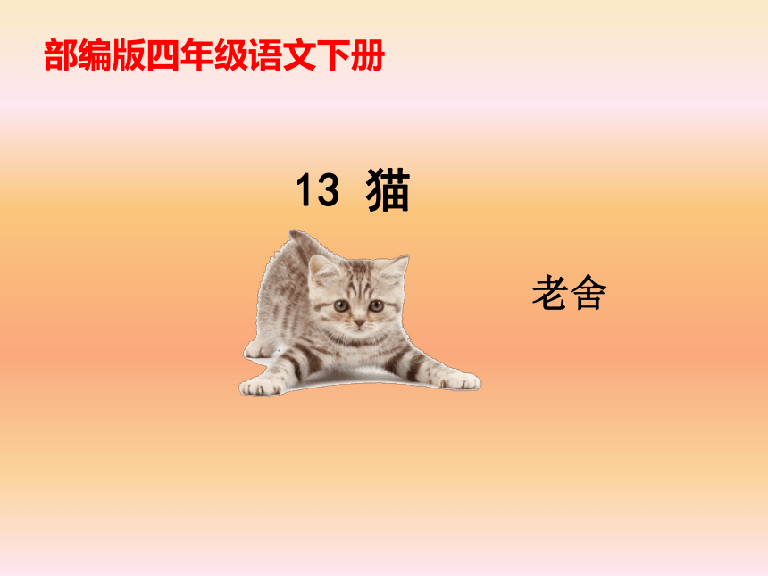 课件预览