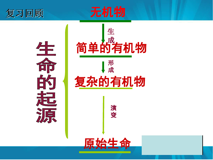 人教版生物八年下册7.3.2-生物进化的历程(共25张PPT)