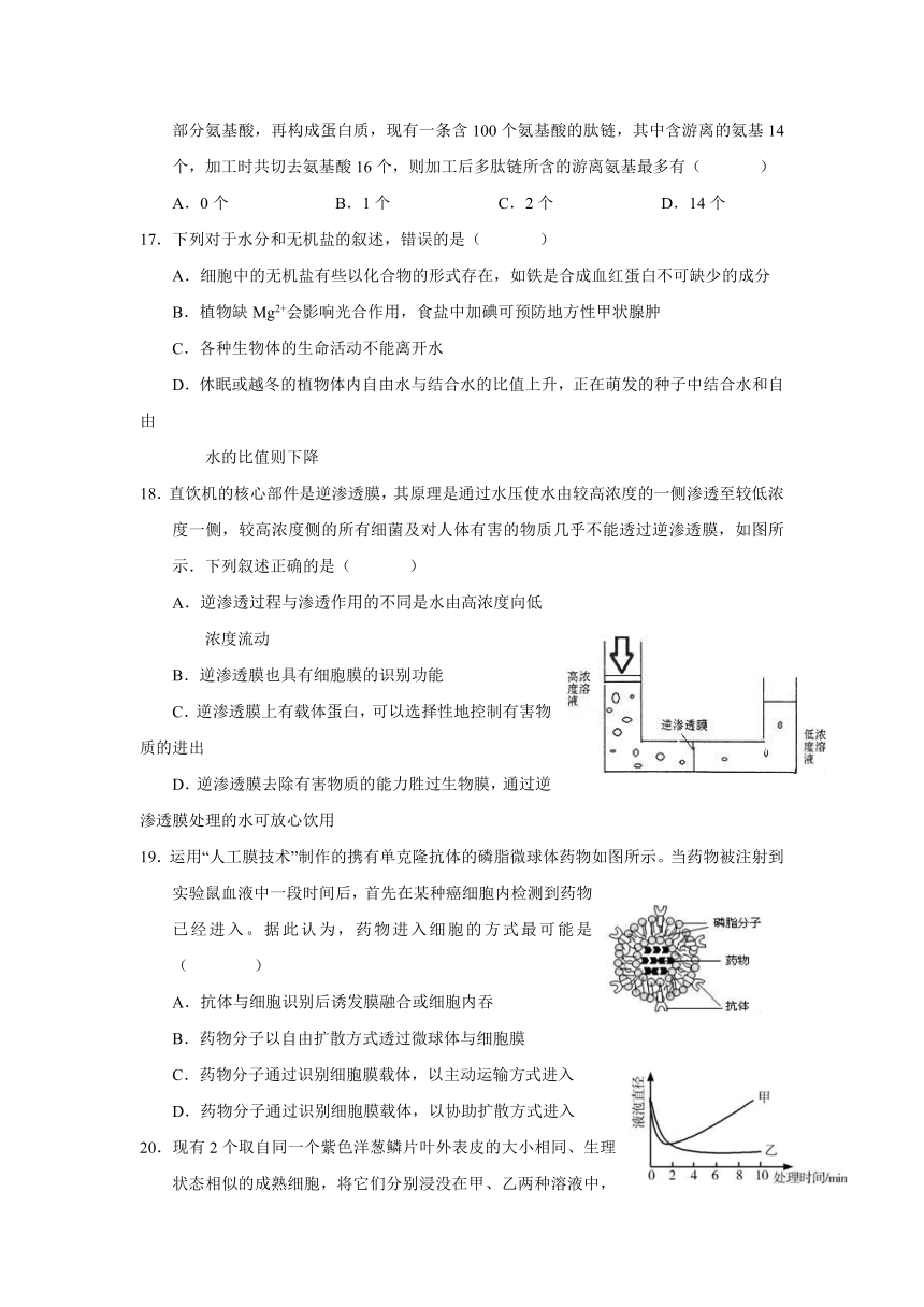 江西省南康中学2016-2017学年高一下学期期中考试生物试卷