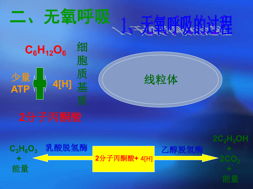 沪科版生物第一册第三节《 细胞呼吸》课件1