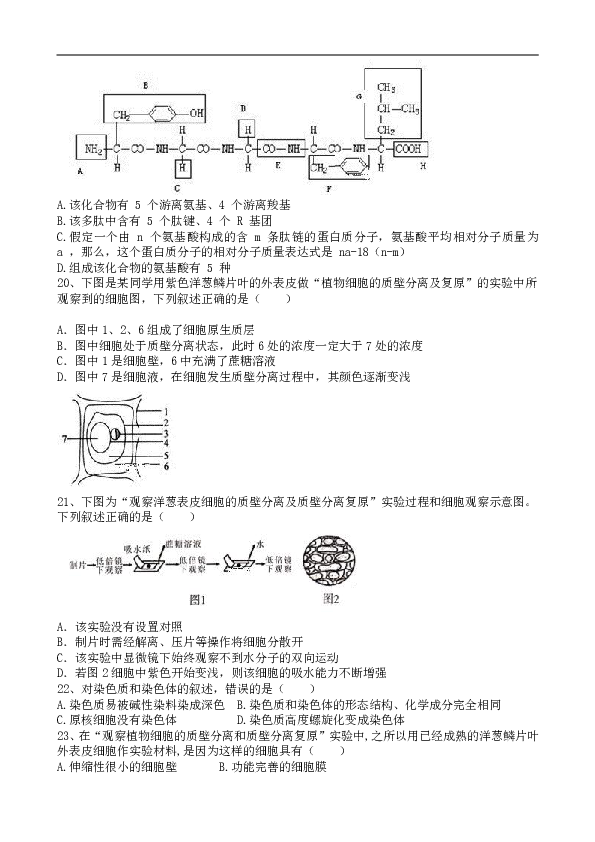 宁夏银川市兴庆区长庆高级中学2019-2020学年高二上学期第二次月考生物试卷