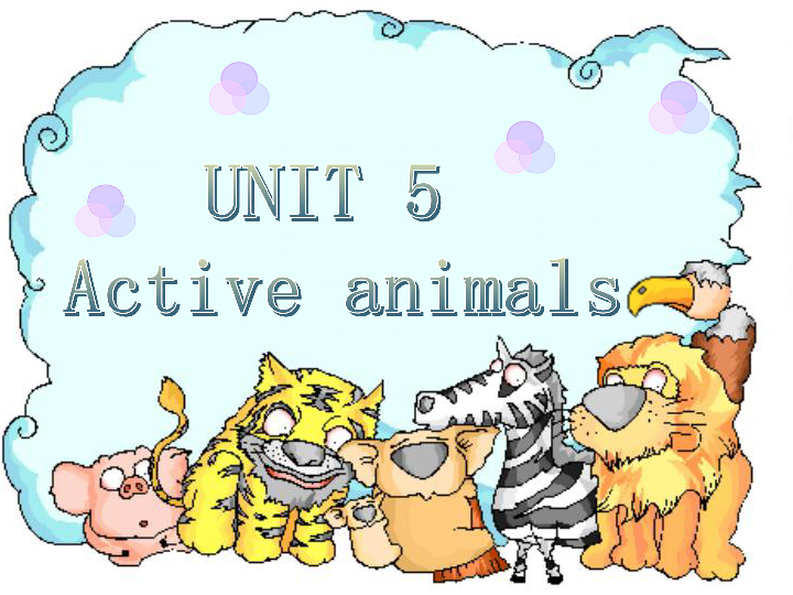 Unit 5 Active animals.课件（共12张PPT）