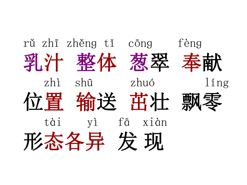 苏教版三年级语文上册4、《做一片美的叶子》课件