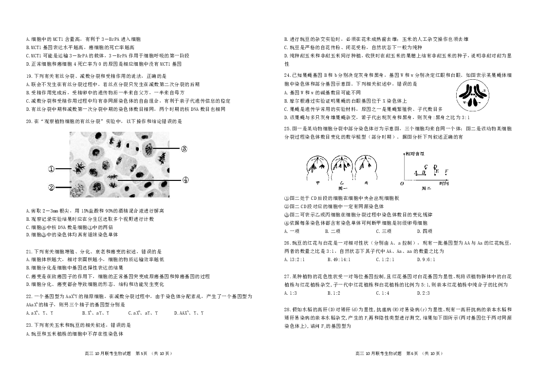 湖北省“荆、荆、襄、宜四地七校考试联盟”2019届高三上学期10月联考试题 生物