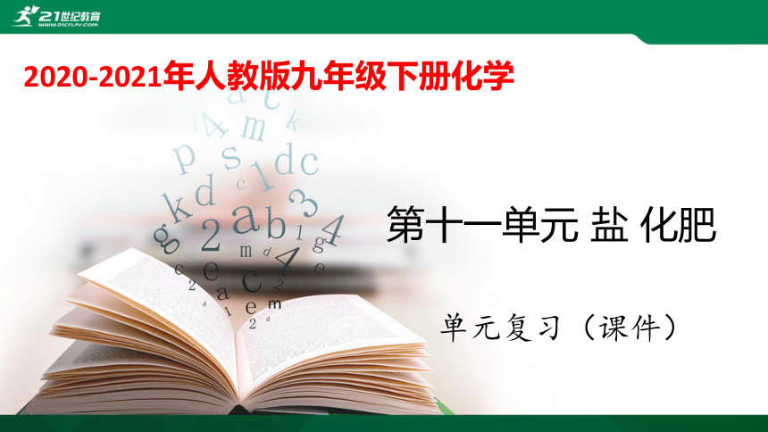 第十一单元 盐 化肥 单元复习课件 （共39张PPT）