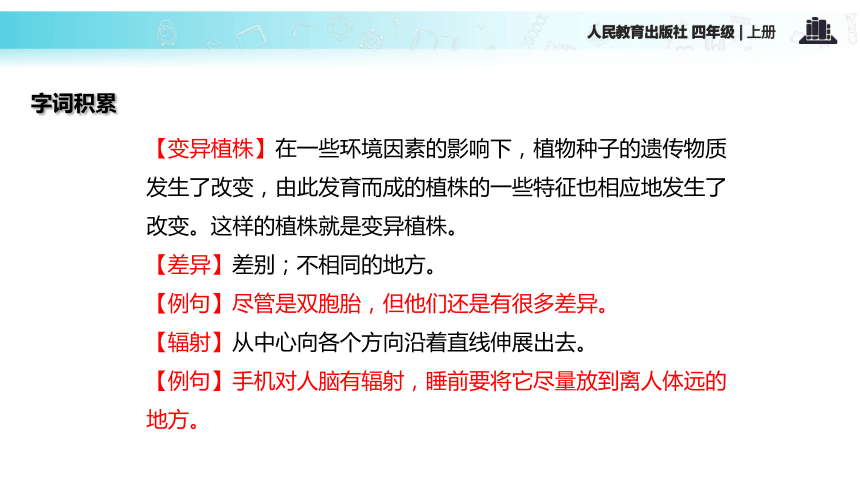 32 飞船上的特殊乘客  课件