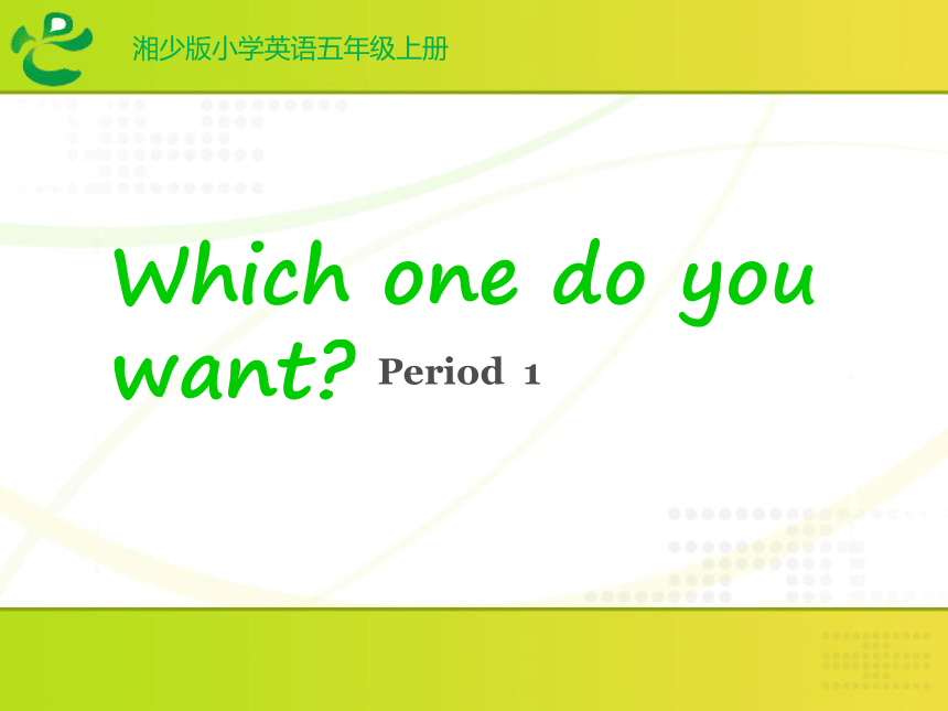 Unit6 Which one do you want 第一课时课件 (共17张PPT)