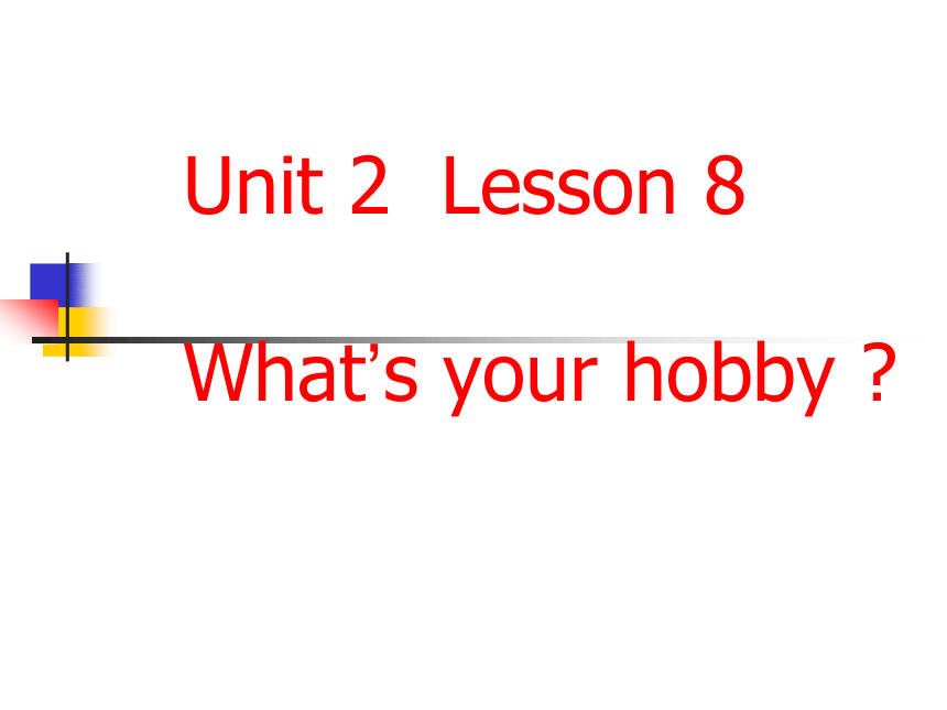 Unit 2 What’s your hobby？Lesson 8 课件