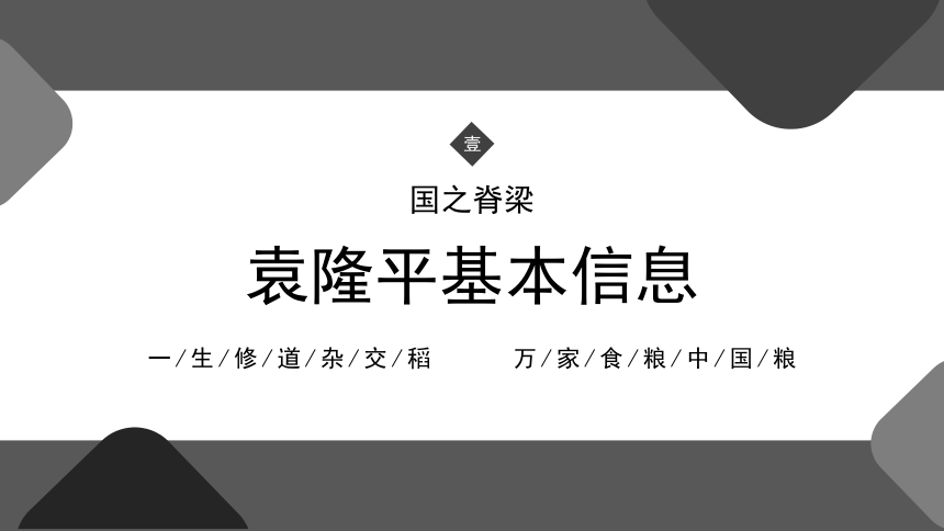 袁隆平——禾下乘凉梦，不悔是初心 课件（26张PPT）