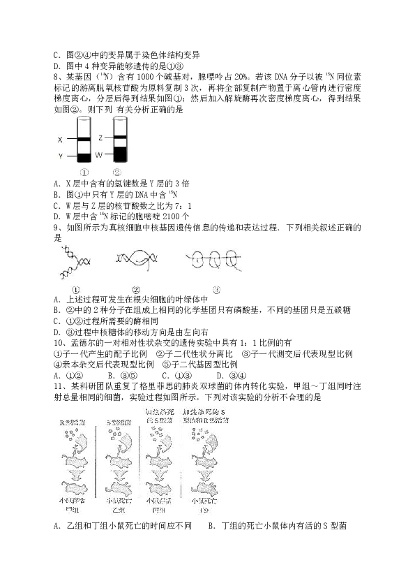 吉林省吉林市第五十五中学2019-2020学年高一下学期期末考试生物试题