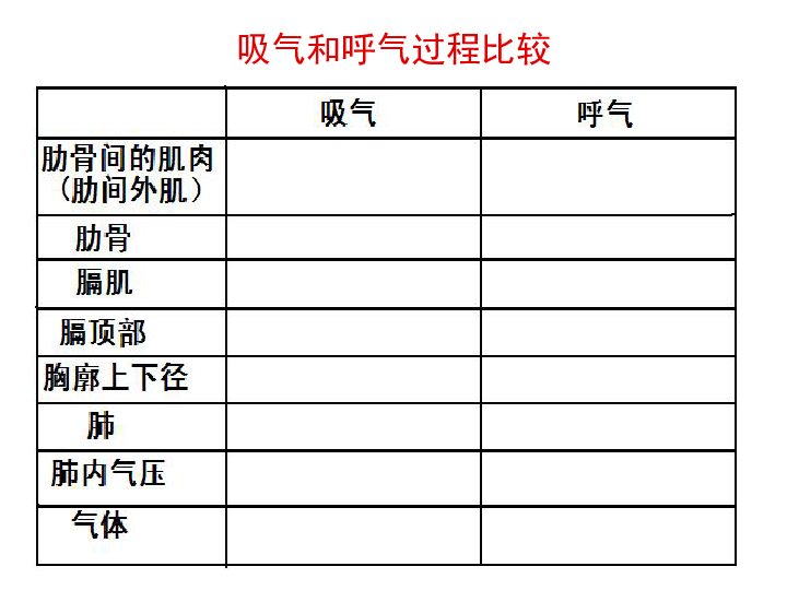 3.2发生在肺内的气体交换(共31张PPT)