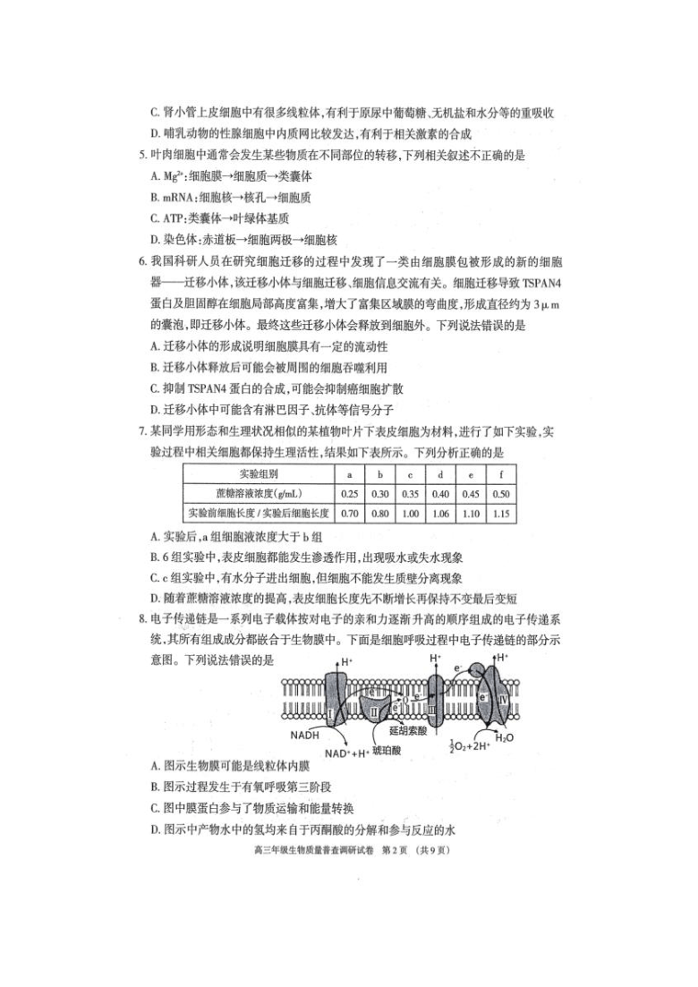 内蒙古呼和浩特市2021届高三上学期质量普查调研考试生物试卷 扫描版含答案