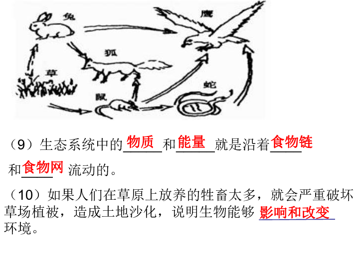 人教版生物七年级上册识图题总结