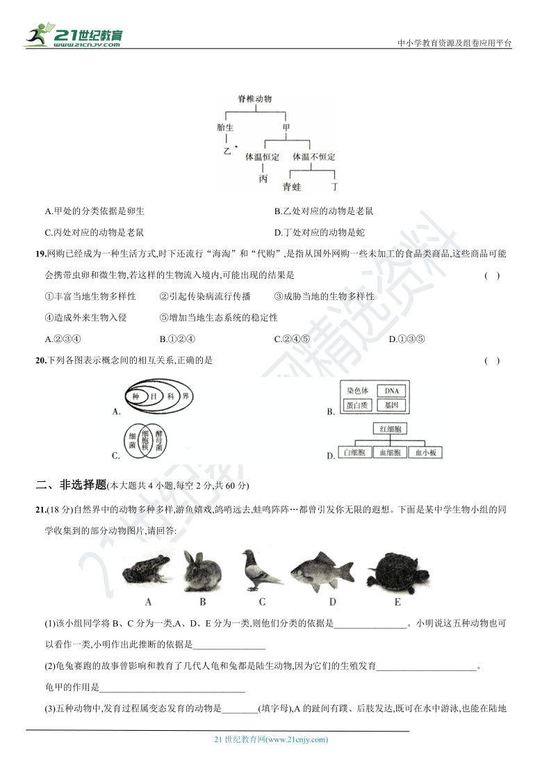 专题复习卷(四)  生物的多样性及保护——生物的分类及保护-2020-2021学年八年级生物上册期末复习测试卷（含答案）