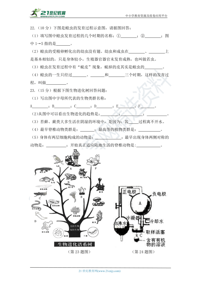 冀教版生物八下期中测试题（含答案）