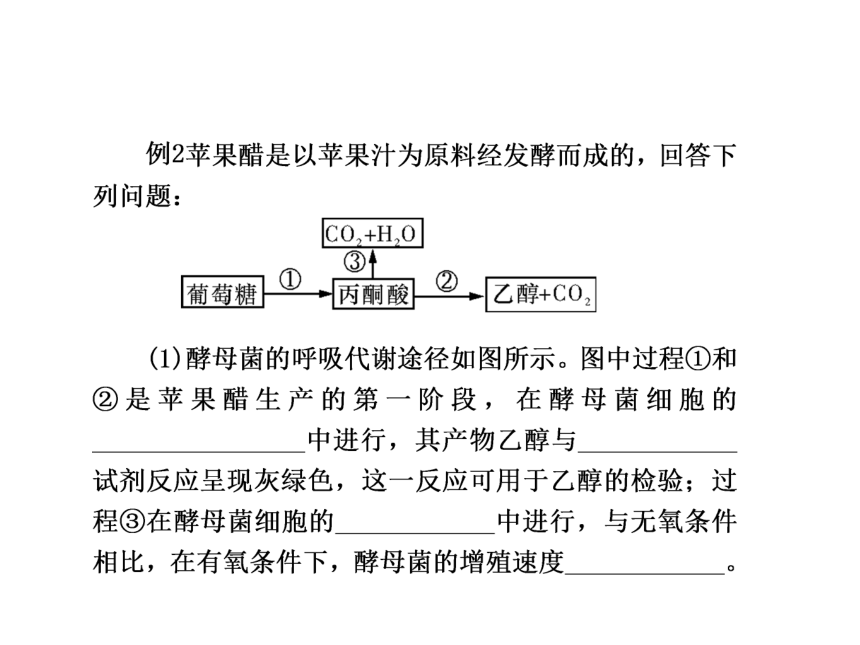 2018年高考生物二轮复习专题七生物技术实践