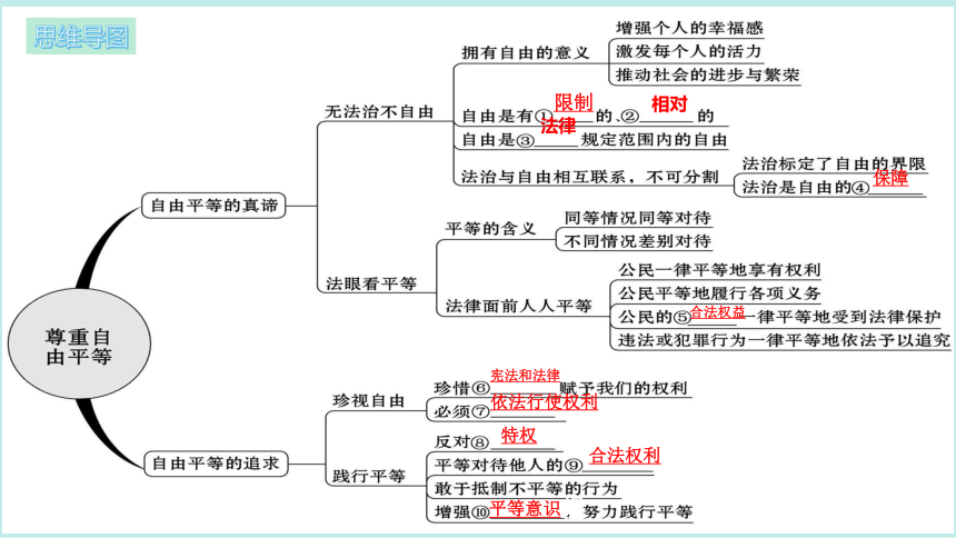 尊重自由平等思维导图图片