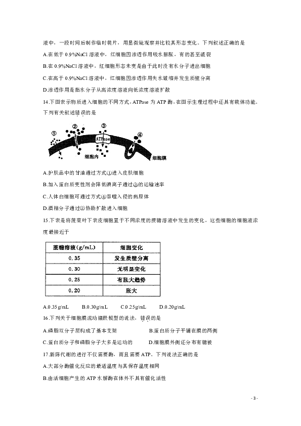 河南省郑州市2019-2020学年高一上学期期末考试 生物