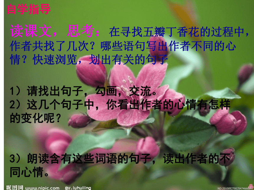 1《寻找幸运花瓣儿》课件