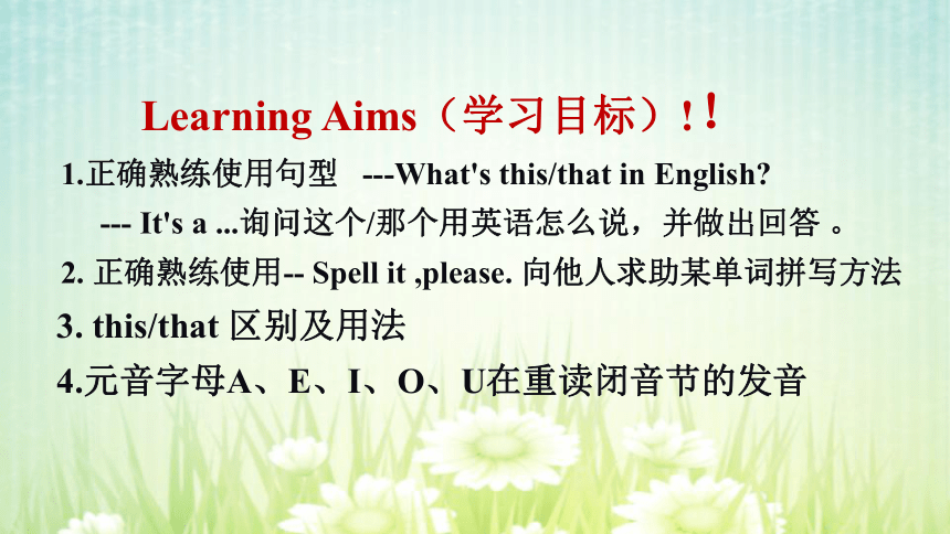 Unit 2   What’s this in English ？Section B  课件(共21张PPT)