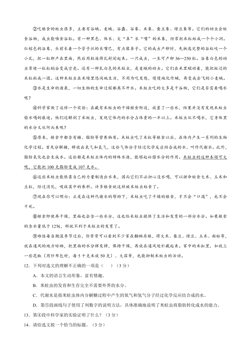 2017-2018学年七年级语文上学期期末考试原创模拟卷（河北B卷）