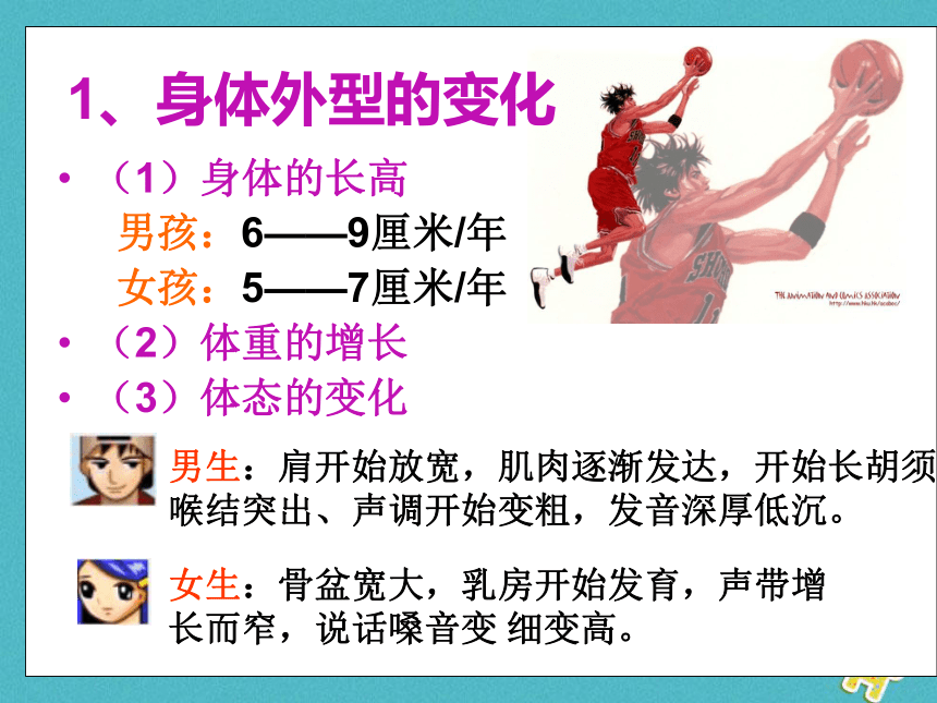 广东省中山市七年级生物下册4.1.3_青春期课件（新版）新人教版