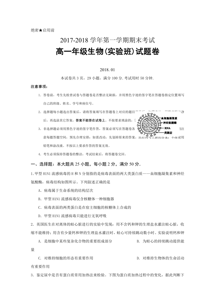 广东省深圳市耀华实验学校2017-2018学年高一上学期期末考试生物试题