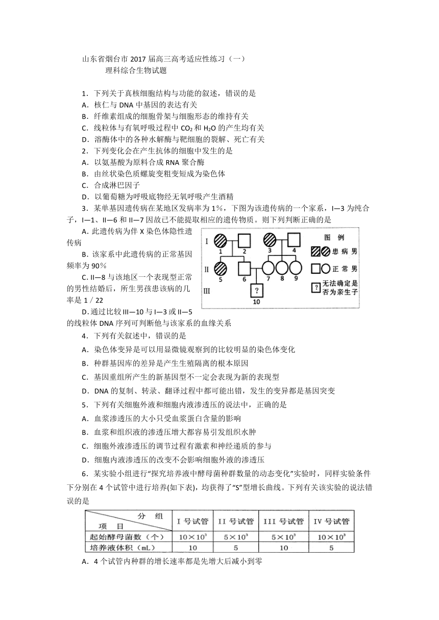 山东省烟台市2017届高三高考适应性练习（一）理科综合生物试题