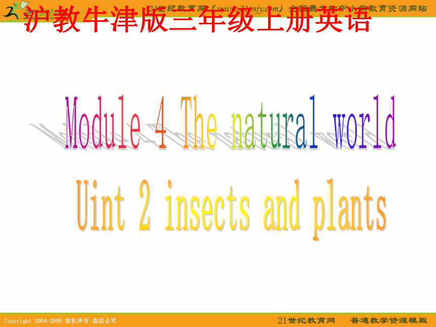 三年级英语上册课件 module 4 unit 2(3)（沪教牛津版）